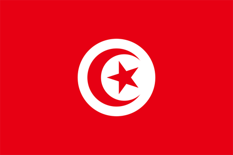 Flag of Tunisien